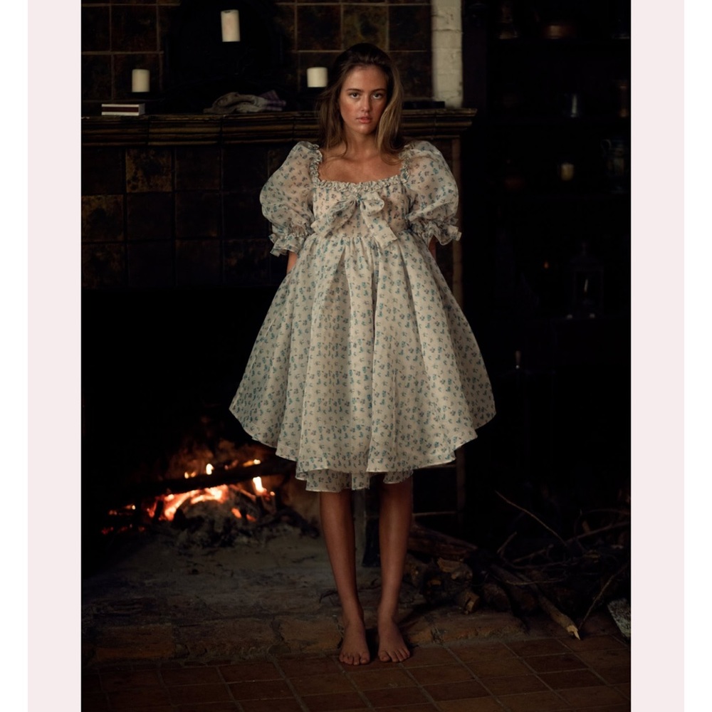 NWT Selkie Floral Hazy Shabby Chic Dress, size S